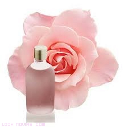perfumes naturales para regalar